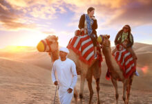 Photo of Сафари в ОАЭ (Объединенных Арабских Эмиратах). Цены в 2024 году